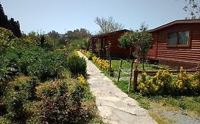 Defnewoodhome